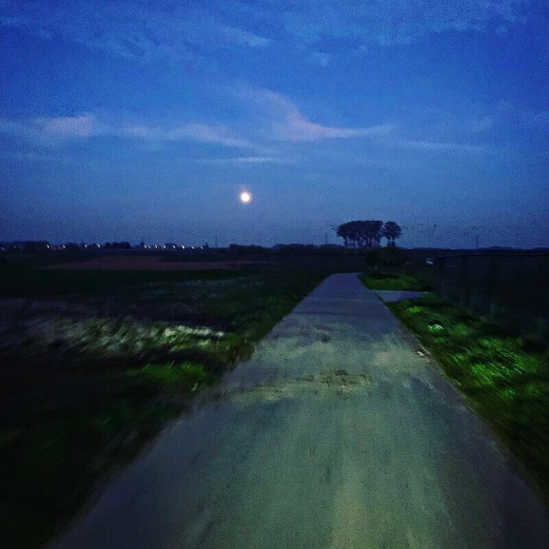 blog-220415-Flechebelge-019